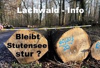 Lachwald-Info Zukunfts-Zukunftswerkstatt Stadtwald Stutensee – letztendlich entscheidet der Gemeinderat und ist verantwortlich, wie aktuell in Nußloch festgestellt