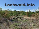 Pleiten, Pech und (Wald-) Pannen – 120.000 Euro für Waldverlegung belasten Haushaltskasse von Stutensee zusätzlich ★ Homepage der Bürgerinitiative Stutensee Lachwald-erhalten für mehr Demokratie + Transparenz + Bürgerbeteiligung • auch bei Bürgerbegehren und Bürgerentscheid – Mitglied der BundesBürgerInitiative Waldschutz BBIWS zum Schutz von Wald • Natur und Klima in der Waldkrise mit der Forderung um mehr Beachtung von Umweltschutz • Naturschutz • Klimaschutz und Reform der Waldgesetze