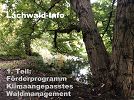 Klimaangepasster Waldumgang 1. Teil – Lösungsvorschlag zu Verbesserungen für erkrankten Stadtwald und maroden Haushalt ★ Homepage der Bürgerinitiative Stutensee Lachwald-erhalten für mehr Demokratie + Transparenz + Bürgerbeteiligung • auch bei Bürgerbegehren und Bürgerentscheid – Mitglied der BundesBürgerInitiative Waldschutz BBIWS zum Schutz von Wald • Natur und Klima in der Waldkrise mit der Forderung um mehr Beachtung von Umweltschutz • Naturschutz • Klimaschutz und Reform der Waldgesetze